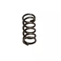 60043988 Wesco - Mola Para Misturadores Ws5519 E Ws5519U