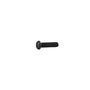 Parafuso Philips - 5402 - 160343001N - Bosch