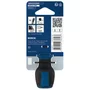 Bosch Chave Curta Phillips Ph3 25Mm Pro - 1600A039Th