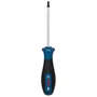 Bosch Chave Torx Com Furo Guia Th25 100Mm Pro - 1600A039Sm