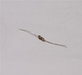 Resistor - Tl00000019 - Makita