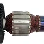 517876-3 Makita - Conjunto Induzido 127V Para Lixadeiras De Cinta